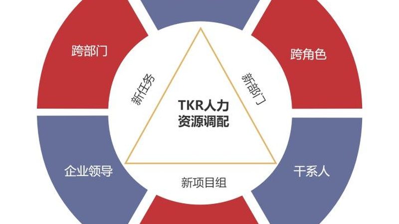 RPO远程招聘流程外包：揭秘高效人才引进之道